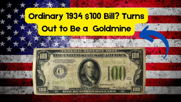 $100 Bill